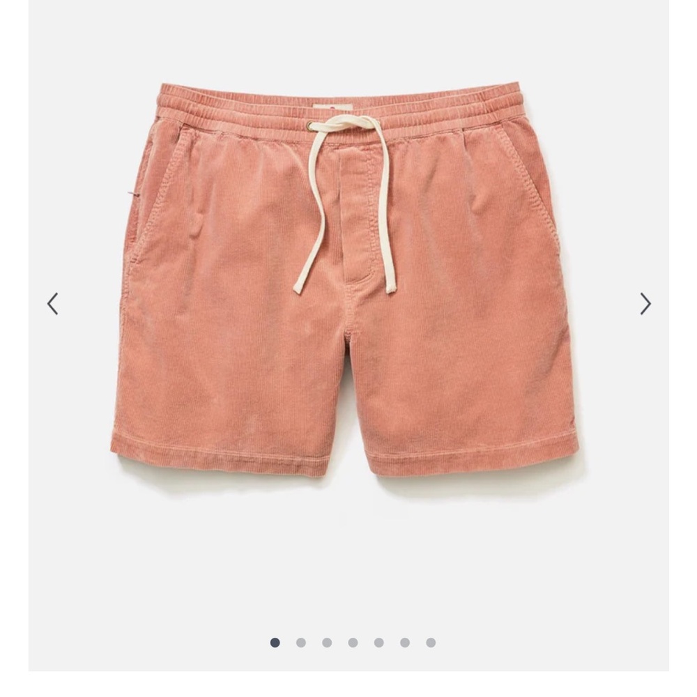 Marine Layer Coral Men Shorts